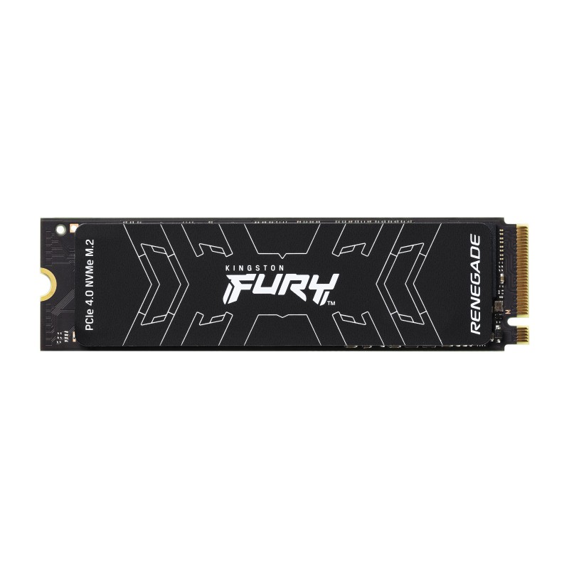 Kingston SSD SFYRS 500G