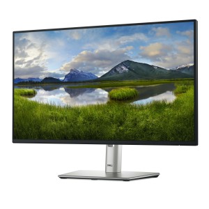 Dell Monitor LCD DELL-P2425HE