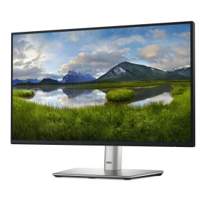 Dell Monitor LCD DELL-P2225H