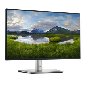 Dell Monitor LCD DELL-P2225H