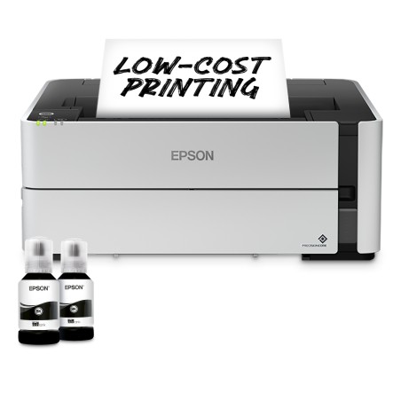 Epson Stampante Inkjet C11CH44401