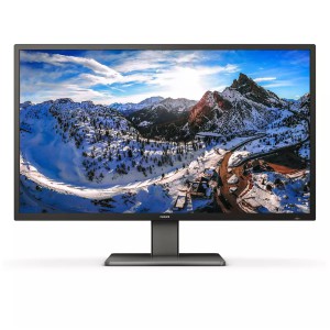 Philips Monitor LCD 439P1 00