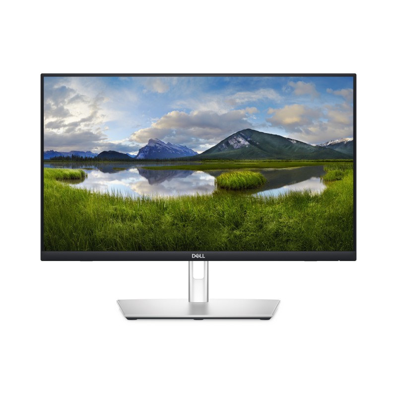 Dell Monitor LCD DELL-P2424HT