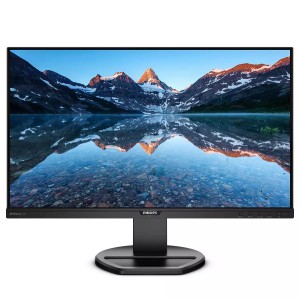 Philips Monitor LCD 252B9 00
