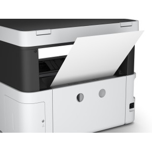 Epson Multifunzione Inkjet C11CH43401
