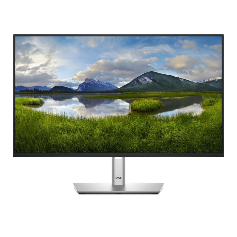 Dell Monitor LCD DELL-P2425H